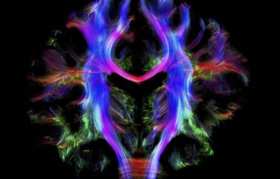 Faith and Neuroscience: Wisdom, Training, and the Numinous
