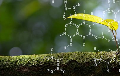 Randomness and God In The Biochemical Context