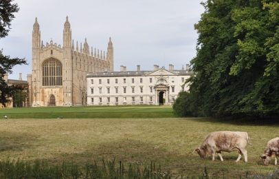 Resource Preview: The Cambridge Papers – briefing on hot topics