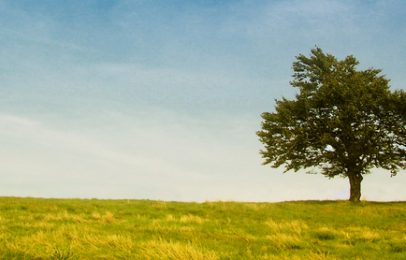 Resource Preview: Daily Reflections for Creationtide