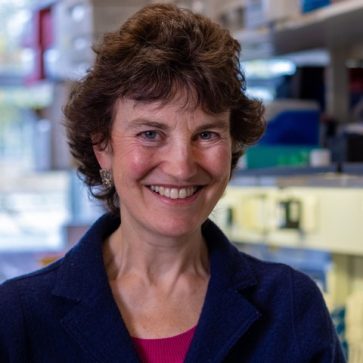 Prof. Rebecca Fitzgerald OBE FRS